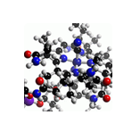 b12