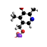 b6